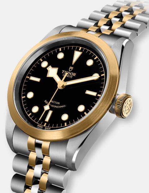 Tudor BLACK BAY 32 S&G M79583-0001 Replica Watch